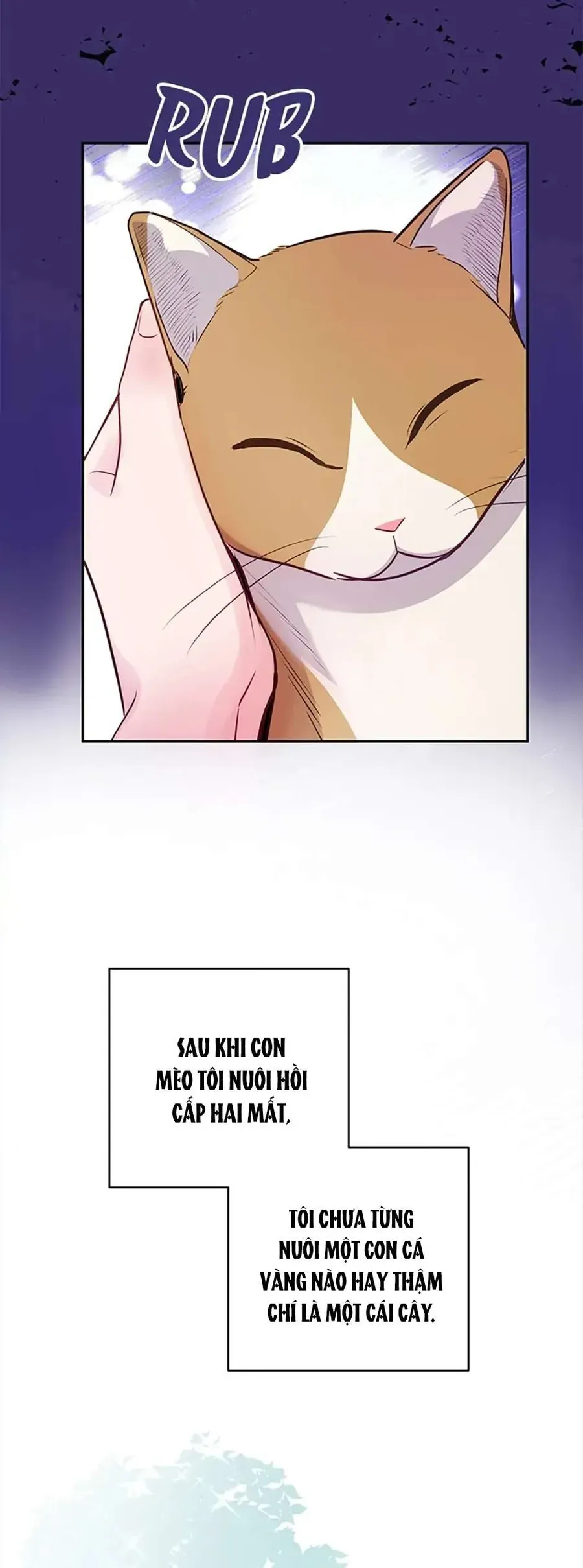 Lời Tỏ Tình Đáng Ngờ - Chap 27 - Trang 48