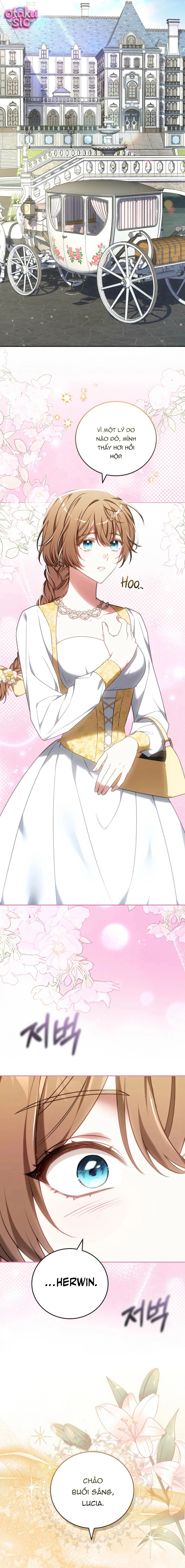 Lời Tỏ Tình Lần 101 - Chap 4 - Trang 8
