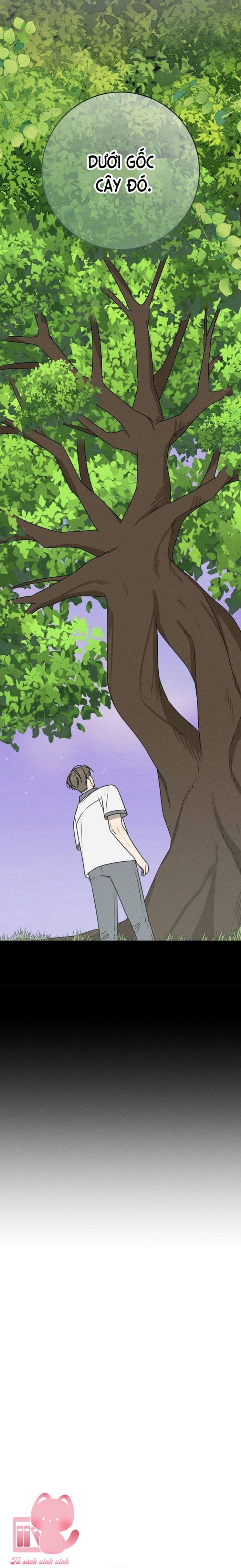 Lời Tỏ Tình Mạnh Mẽ - Chap 56 - Trang 13