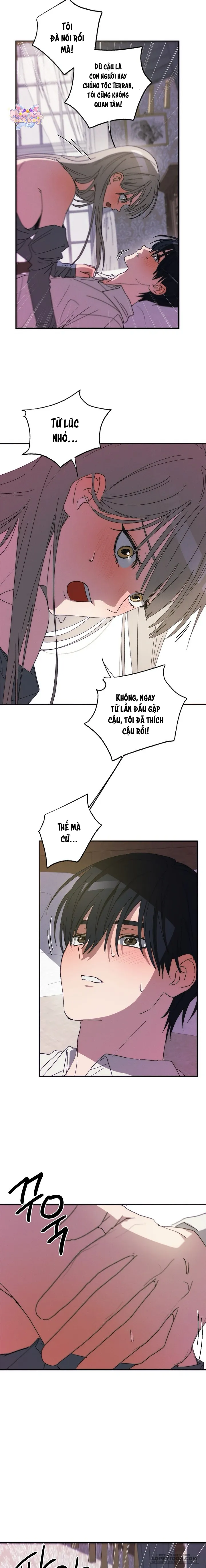 Lời Tuyên Thệ Của Loài Sói - Chap 5 - Trang 13