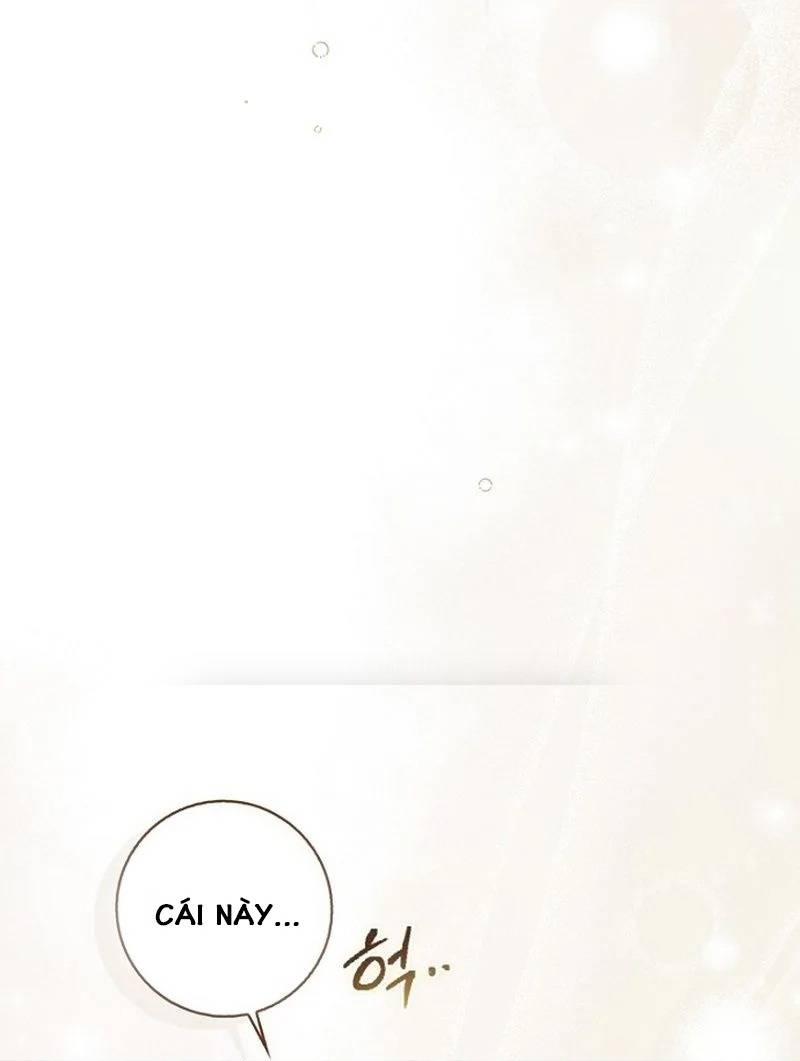 Lừa Dối Hôn Nhân Của Hoàng Đế - Chap 11 - Trang 29