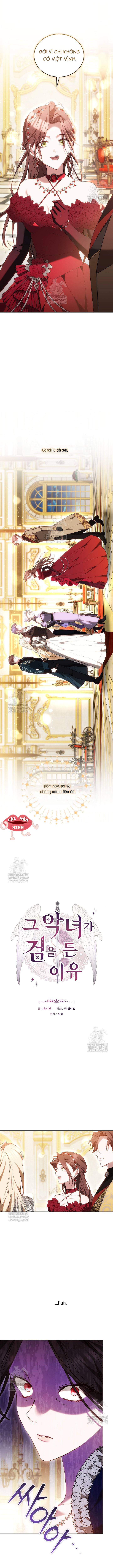 Lý Do Mà Ác Nữ Ấy Cầm Kiếm - Chap 48 - Trang 4