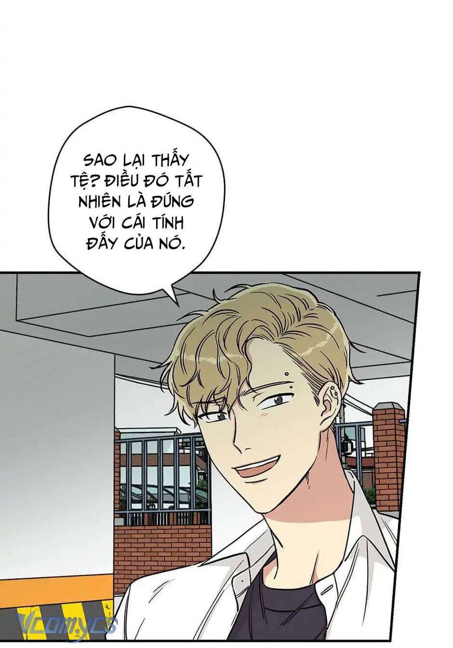 Ly Espresso Của Mùa Xuân - Chap 13 - Trang 9