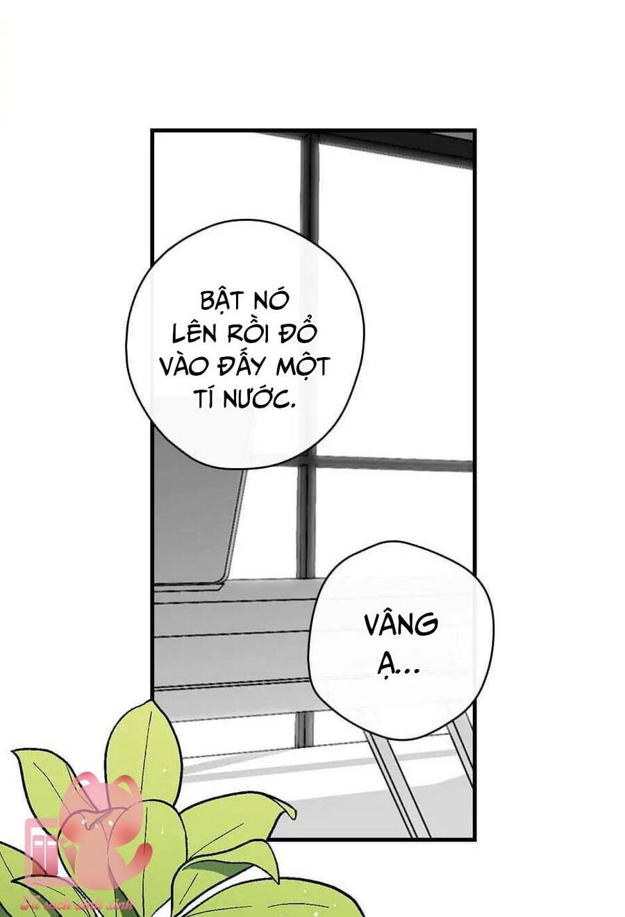 Ly Espresso Của Mùa Xuân - Chap 15 - Trang 28