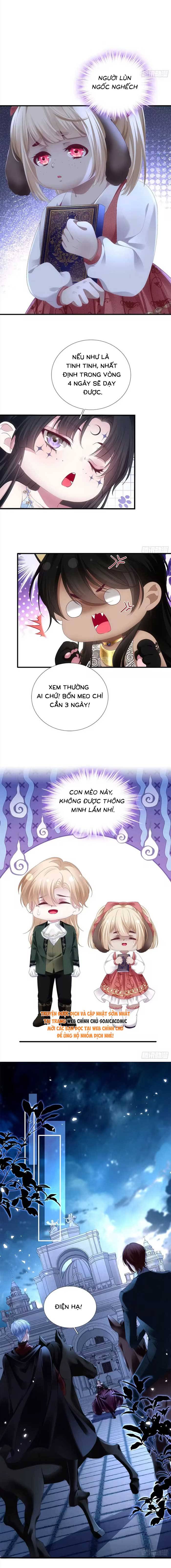 Ma Nữ Trở Lại Và Cuộc Hôn Nhân Định Mệnh - Chap 46 - Trang 3