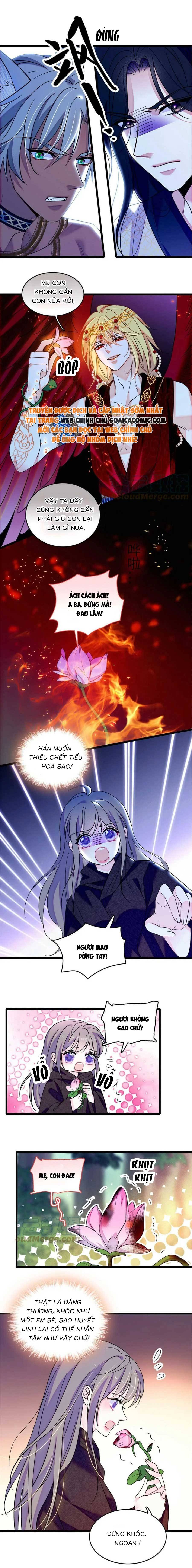 Manh Động Thú Thế - Chap 107 - Trang 5
