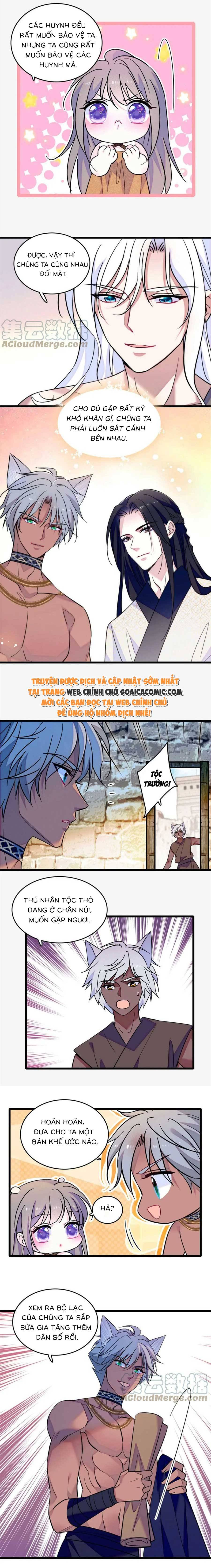Manh Động Thú Thế - Chap 126 - Trang 8