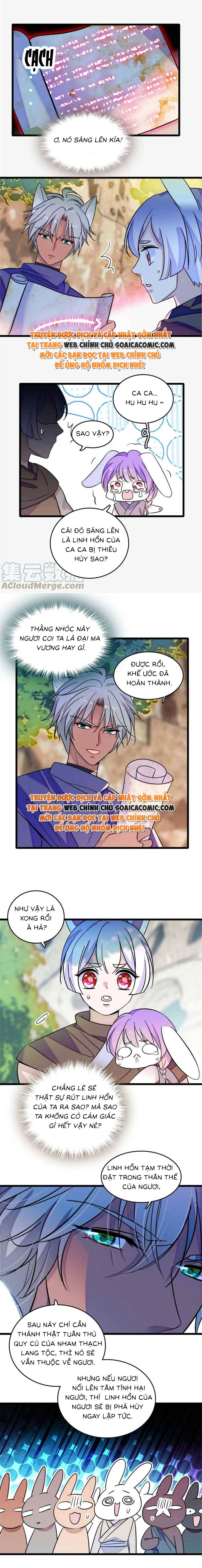 Manh Động Thú Thế - Chap 127 - Trang 3