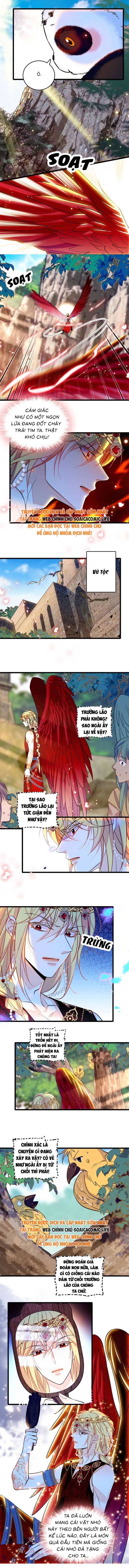 Manh Động Thú Thế - Chap 212 - Trang 2