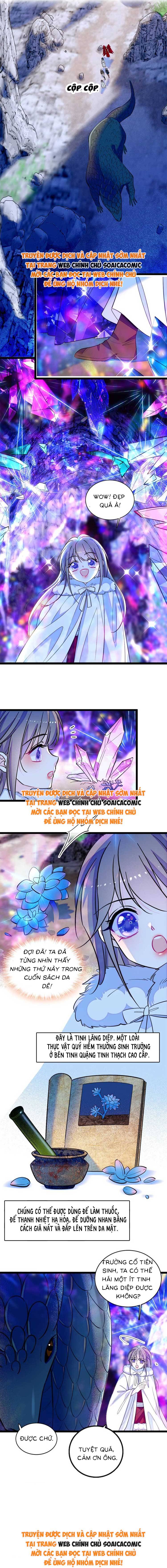 Manh Động Thú Thế - Chap 217 - Trang 4