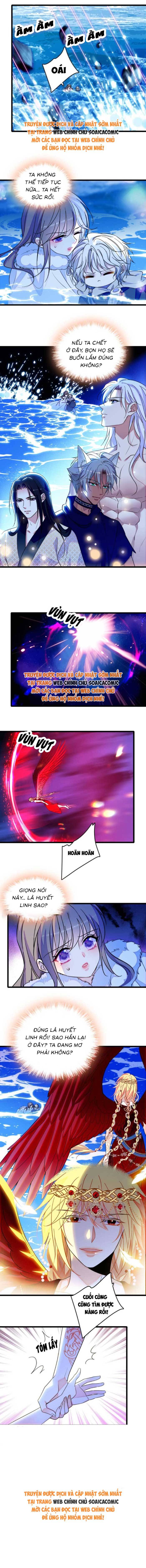 Manh Động Thú Thế - Chap 243 - Trang 3