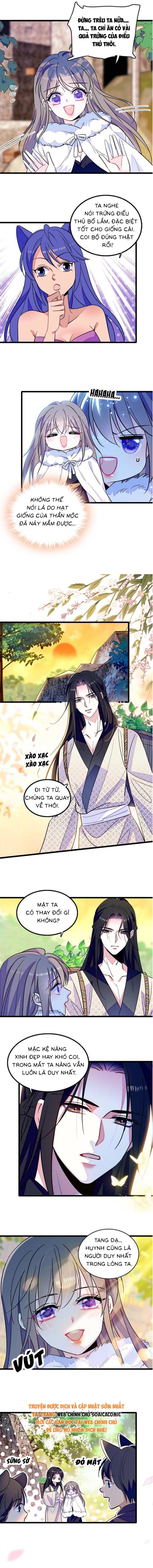 Manh Động Thú Thế - Chap 274 - Trang 4