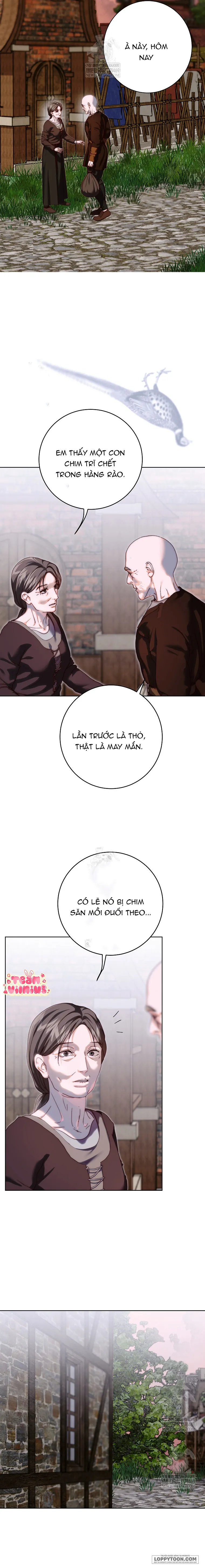 Mảnh Vỡ Của Đôi Giày Thủy Tinh - Chap 32 - Trang 13