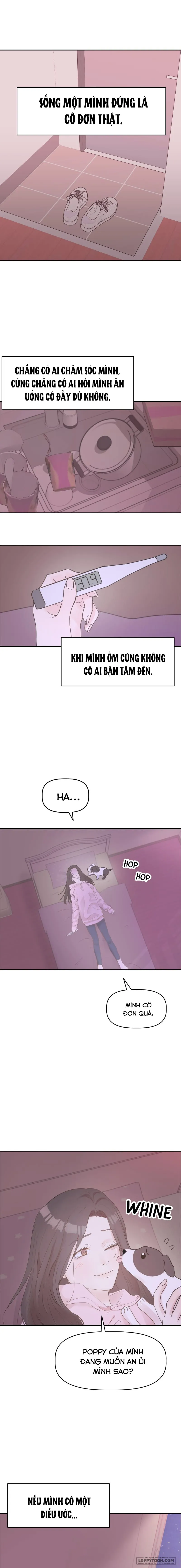 Maru là cún cưng của tôi - Chap 1 - Trang 1