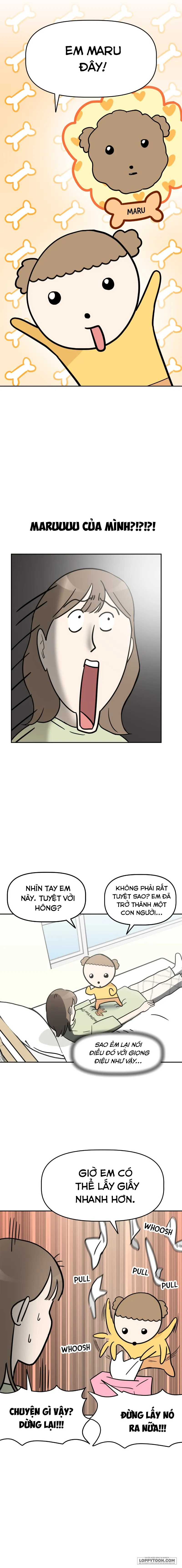 Maru là cún cưng của tôi - Chap 1 - Trang 19