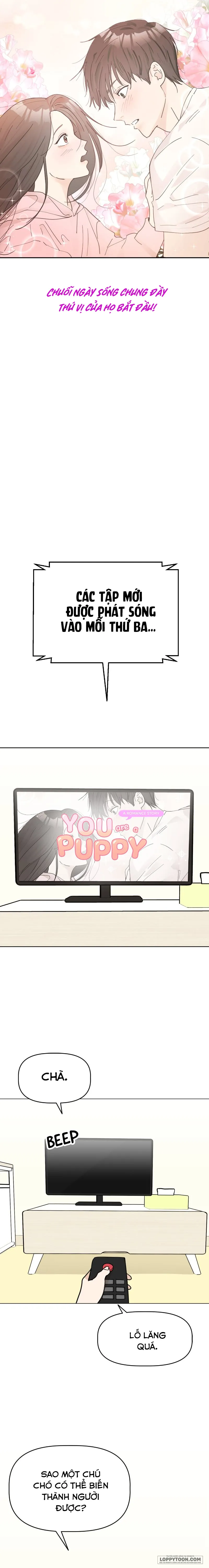 Maru là cún cưng của tôi - Chap 1 - Trang 3