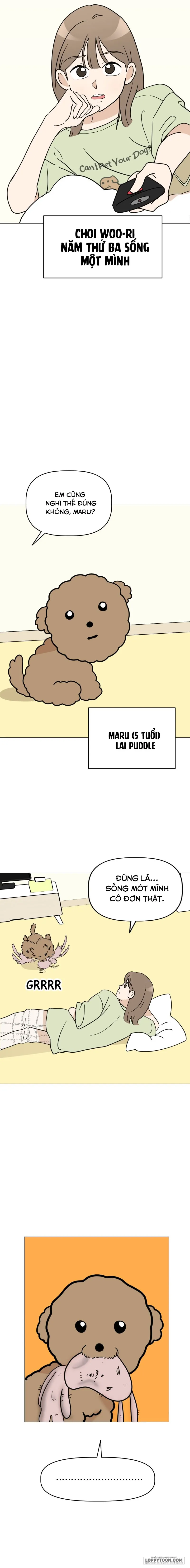 Maru là cún cưng của tôi - Chap 1 - Trang 4