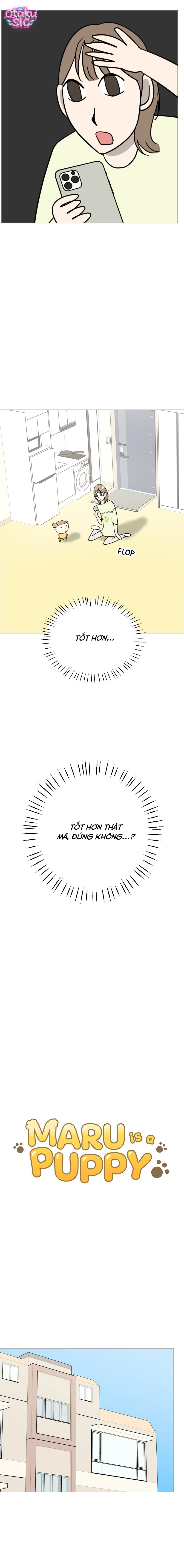 Maru là cún cưng của tôi - Chap 13 - Trang 10