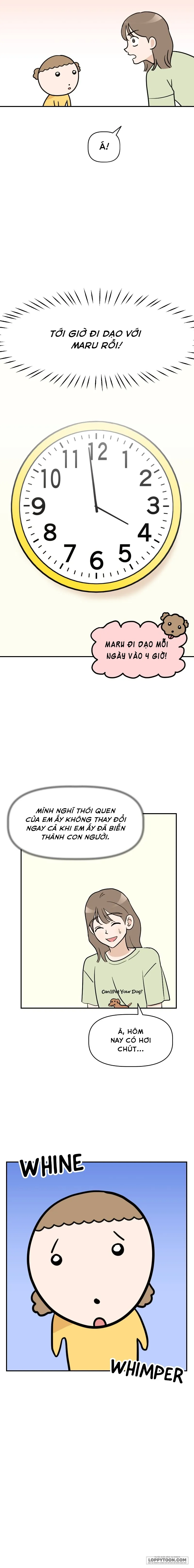 Maru là cún cưng của tôi - Chap 2 - Trang 2