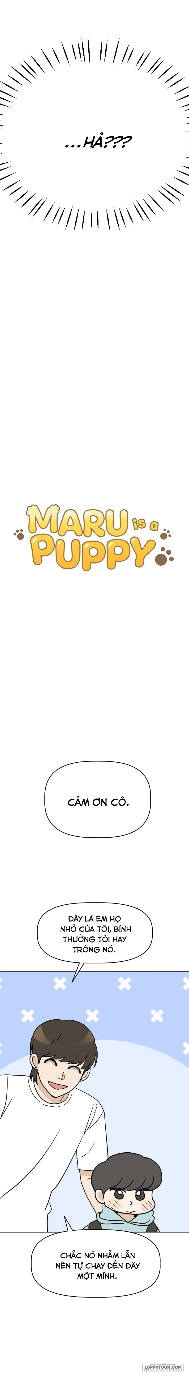 Maru là cún cưng của tôi - Chap 4 - Trang 2