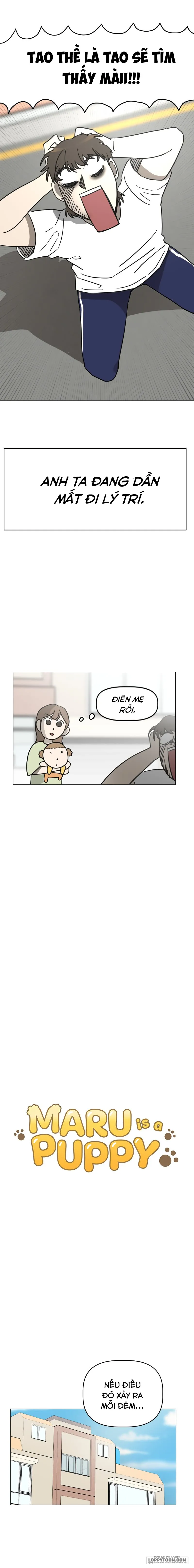 Maru là cún cưng của tôi - Chap 5 - Trang 4