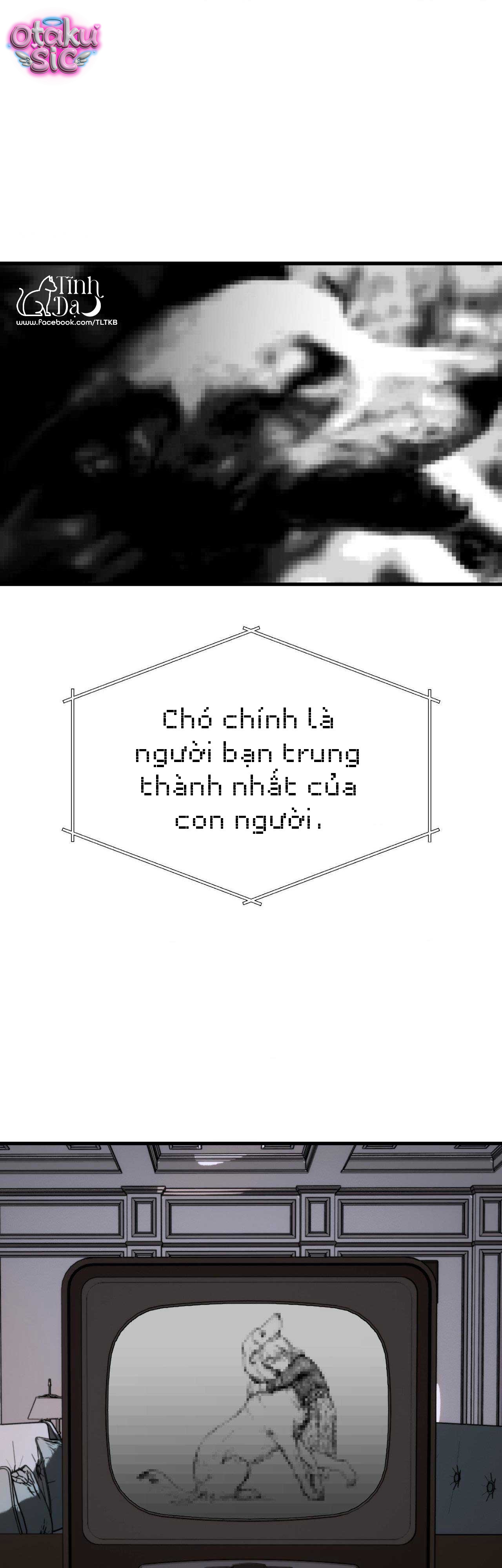 Melt - Phước Lành - Chap 40 - Trang 15