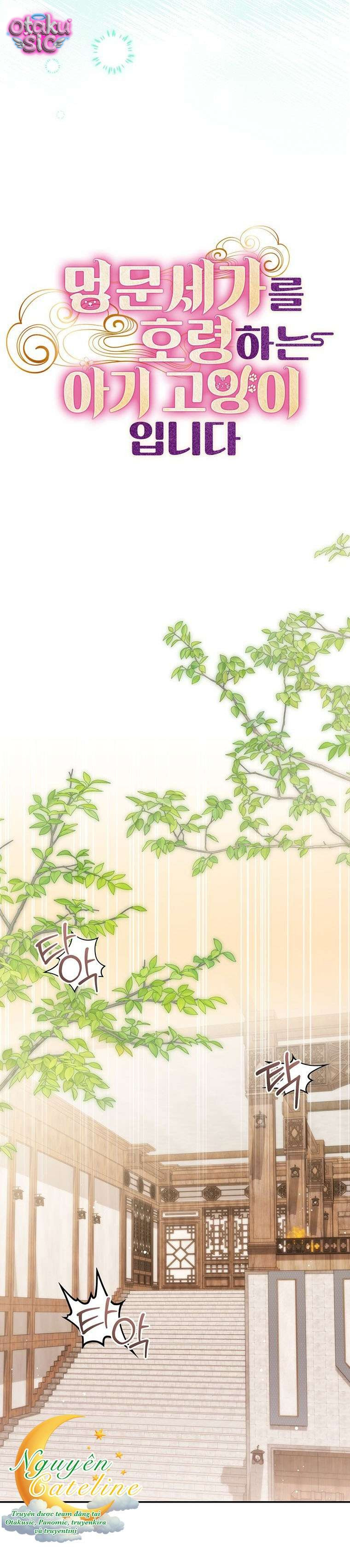Mèo Con Thống Trị Danh Gia Vọng Tộc - Chap 13 - Trang 5