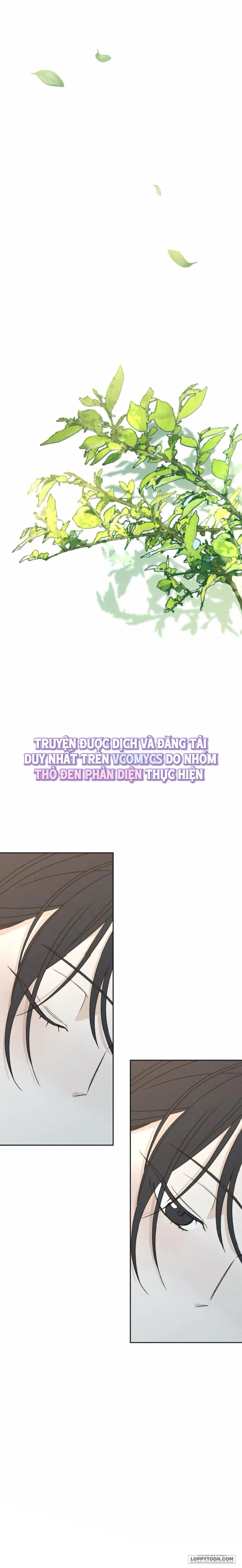 Miyeon - Chap 19 - Trang 1