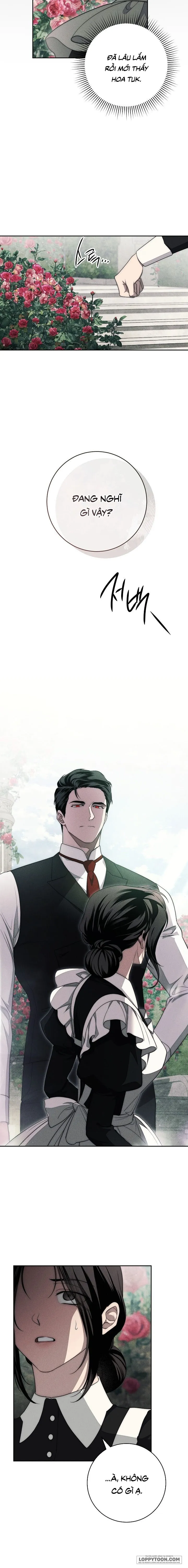 Mộ Thiên Nga - Chap 16 - Trang 13