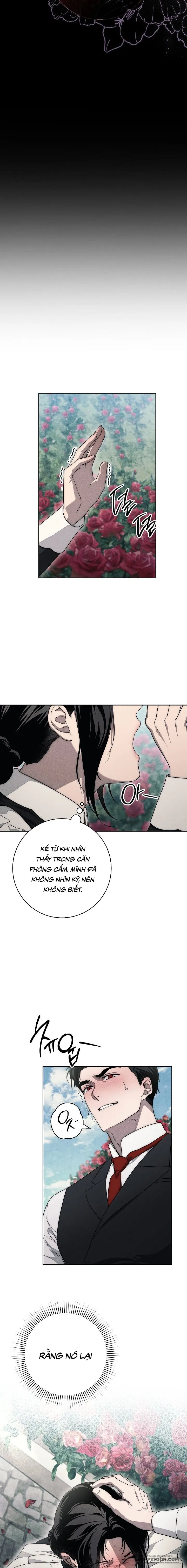 Mộ Thiên Nga - Chap 17 - Trang 2
