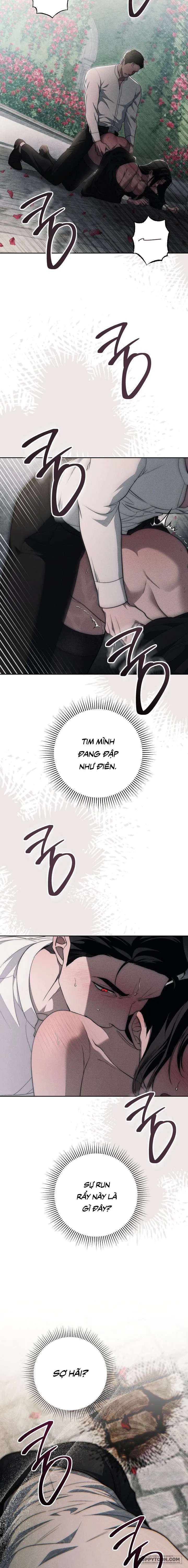 Mộ Thiên Nga - Chap 17 - Trang 22