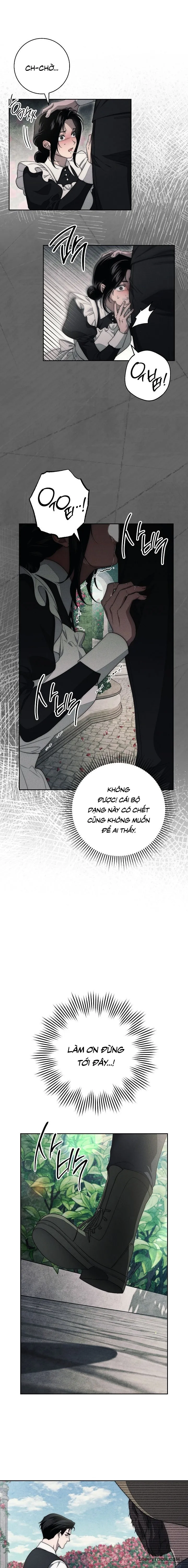 Mộ Thiên Nga - Chap 17 - Trang 5