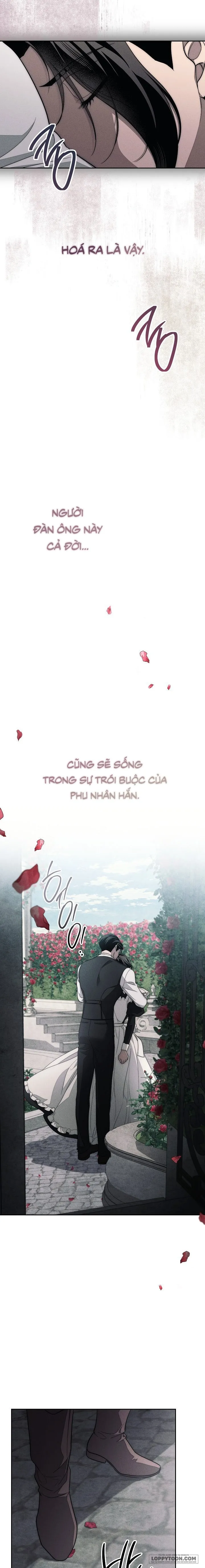 Mộ Thiên Nga - Chap 18 - Trang 19