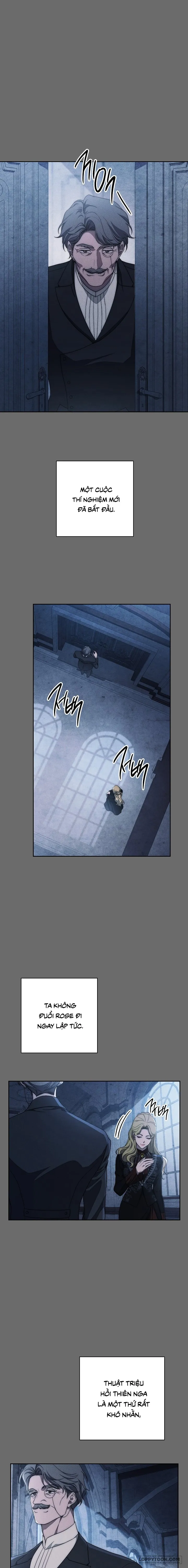 Mộ Thiên Nga - Chap 31 - Trang 1