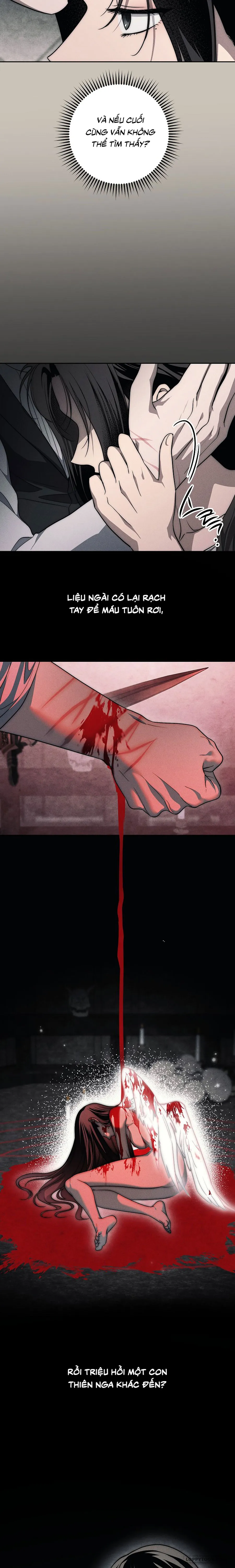 Mộ Thiên Nga - Chap 45 - Trang 22