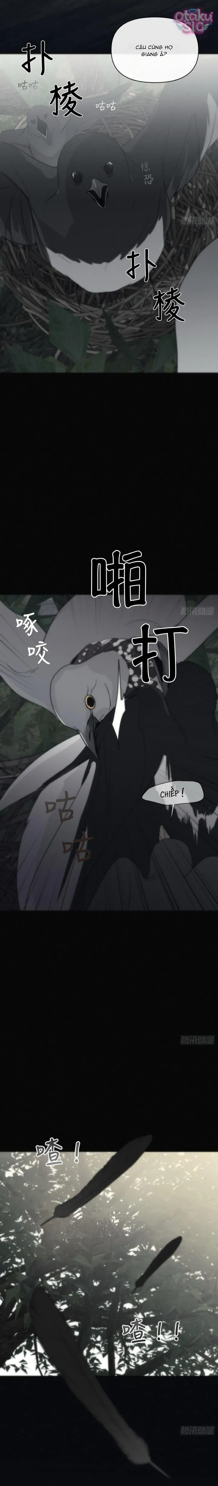 Mồi Nhử - Chap 12 - Trang 18