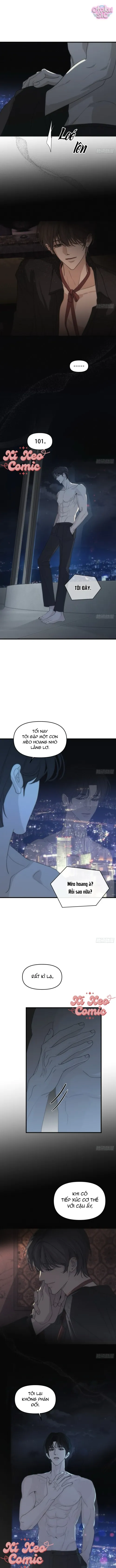 Mồi Nhử - Chap 2 - Trang 5