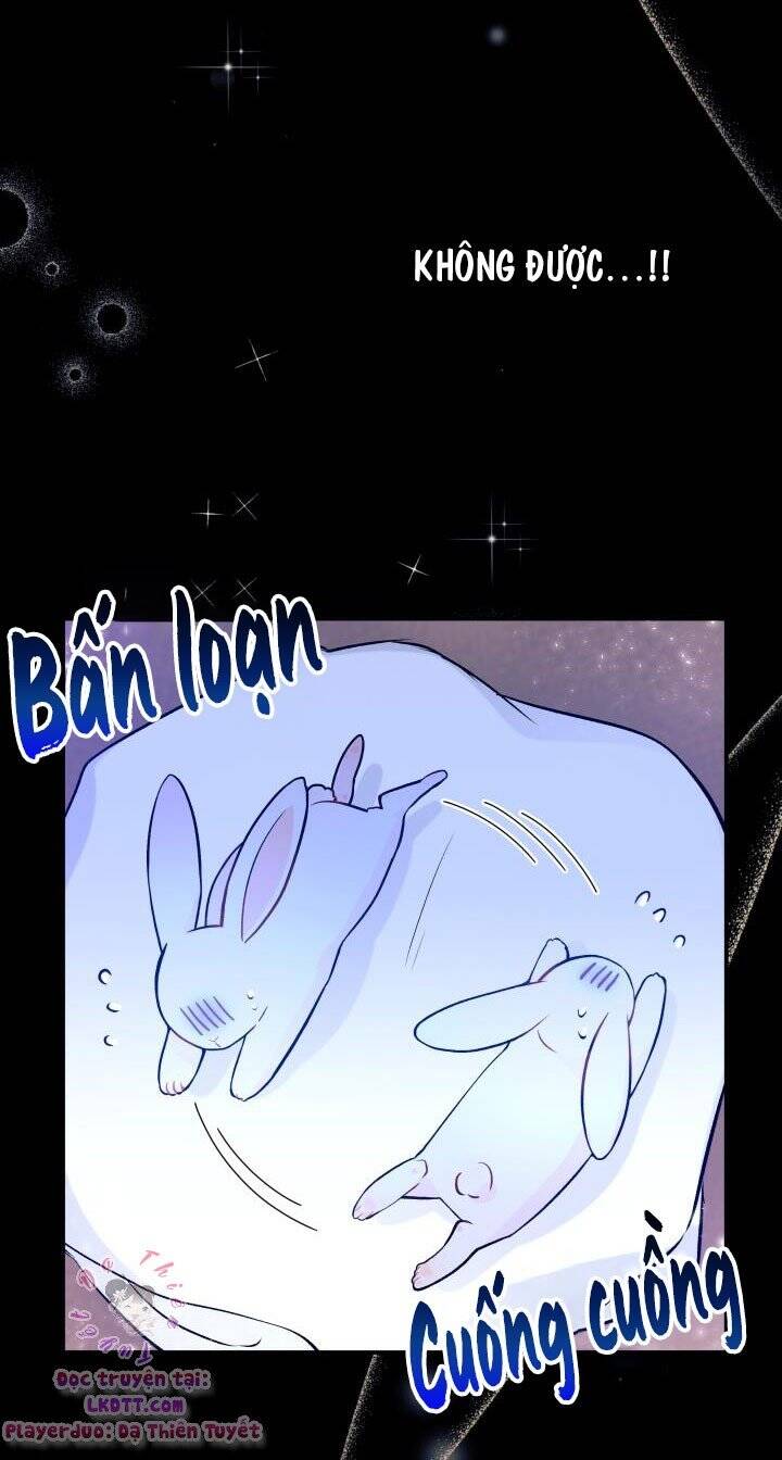 Mối Quan Hệ Cộng Sinh Giữa Báo Đen Và Thỏ Trắng - Chap 1 - Trang 21