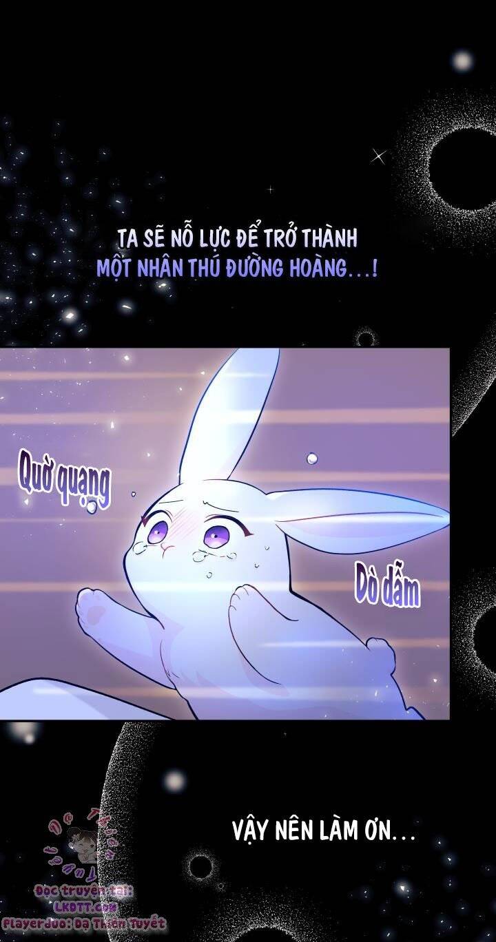 Mối Quan Hệ Cộng Sinh Giữa Báo Đen Và Thỏ Trắng - Chap 1 - Trang 23