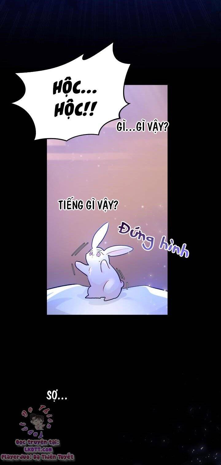 Mối Quan Hệ Cộng Sinh Giữa Báo Đen Và Thỏ Trắng - Chap 1 - Trang 26