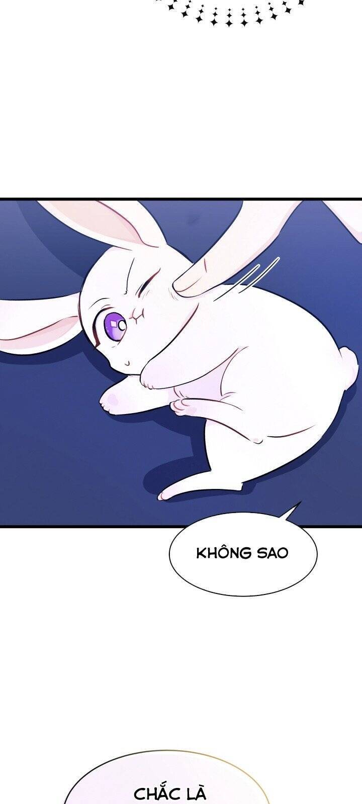 Mối Quan Hệ Cộng Sinh Giữa Báo Đen Và Thỏ Trắng - Chap 10 - Trang 17