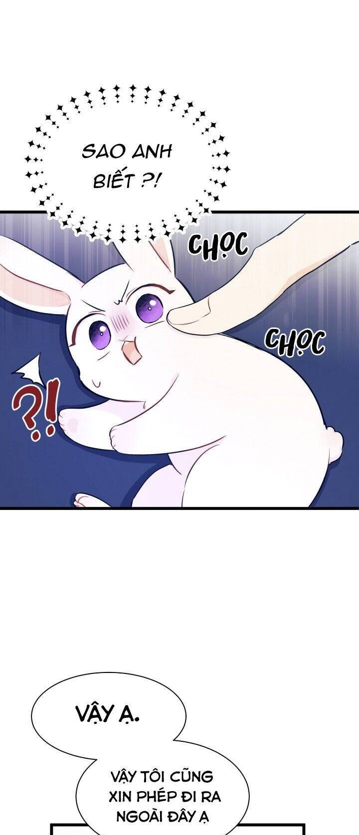 Mối Quan Hệ Cộng Sinh Giữa Báo Đen Và Thỏ Trắng - Chap 10 - Trang 19