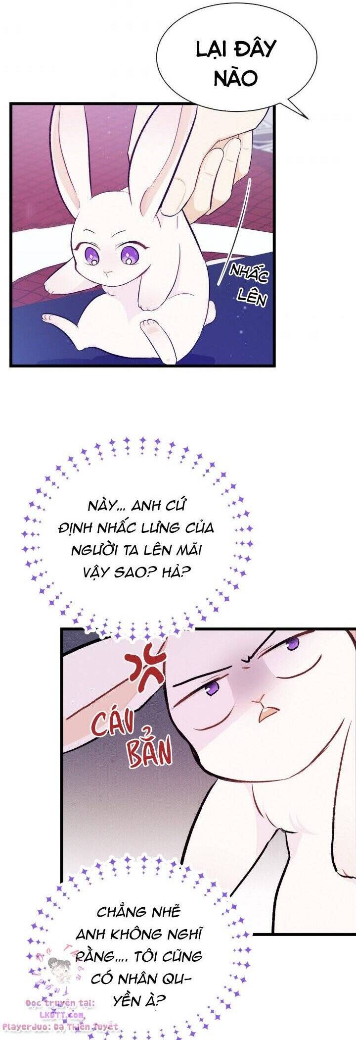 Mối Quan Hệ Cộng Sinh Giữa Báo Đen Và Thỏ Trắng - Chap 10 - Trang 24