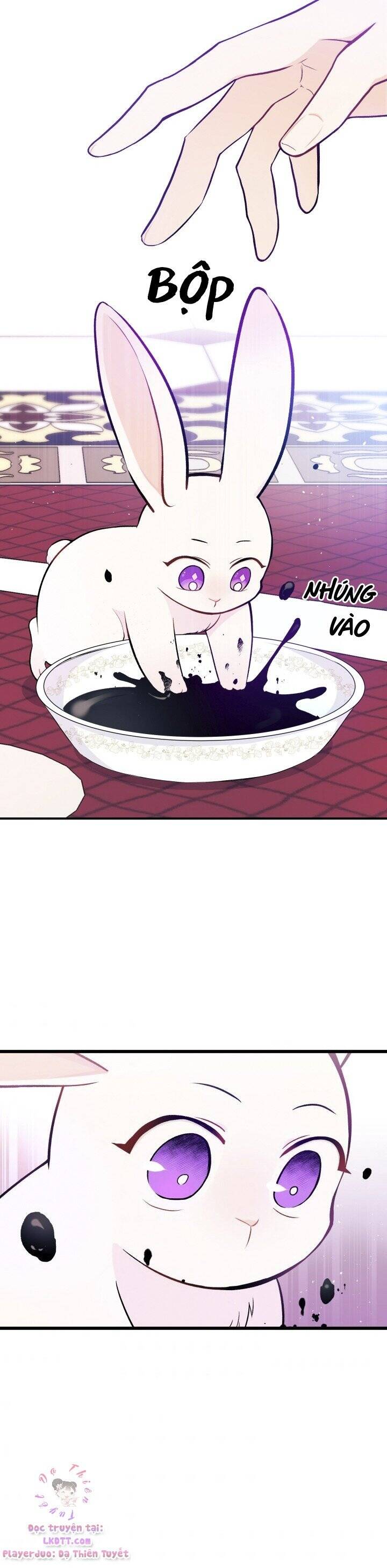 Mối Quan Hệ Cộng Sinh Giữa Báo Đen Và Thỏ Trắng - Chap 10 - Trang 28