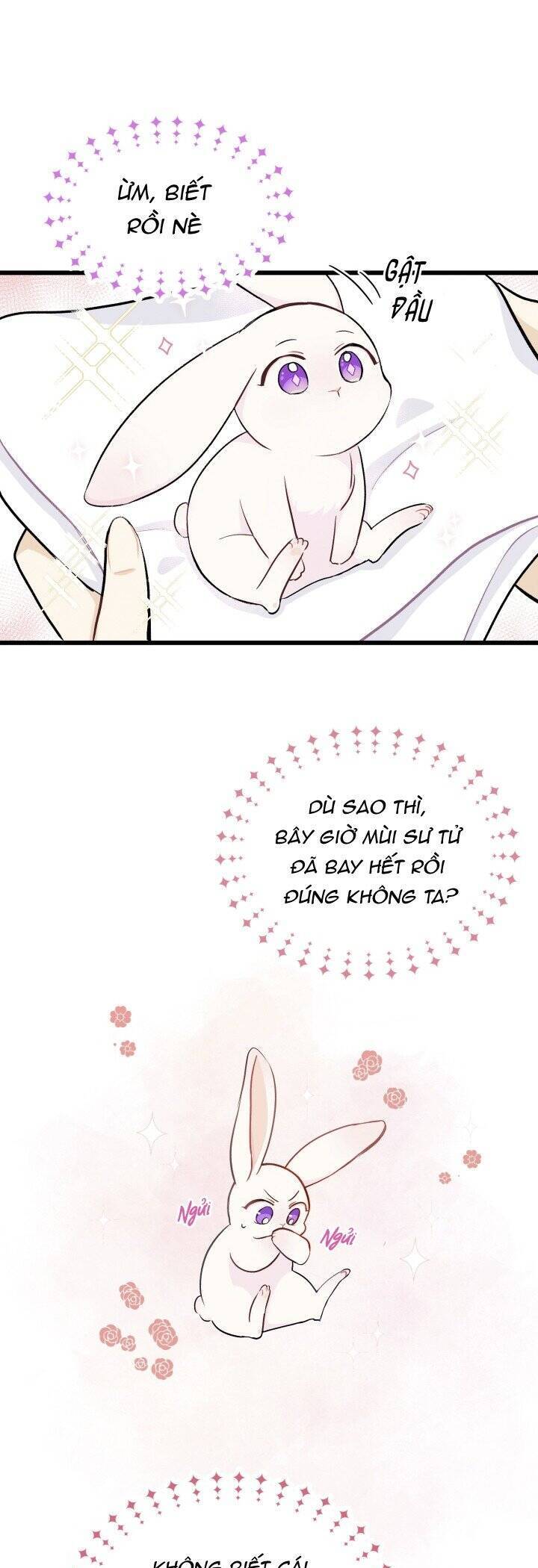 Mối Quan Hệ Cộng Sinh Giữa Báo Đen Và Thỏ Trắng - Chap 10 - Trang 9