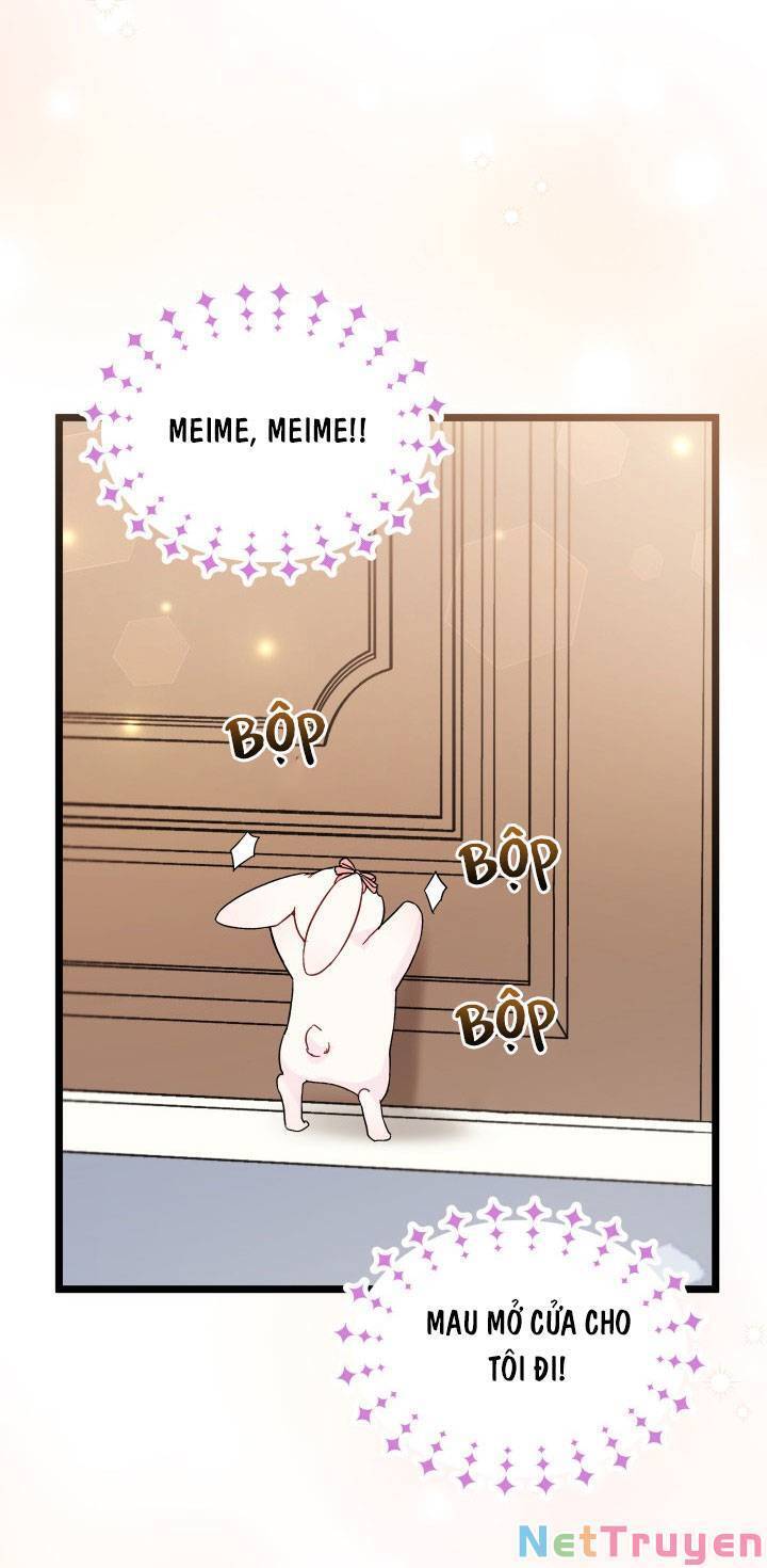 Mối Quan Hệ Cộng Sinh Giữa Báo Đen Và Thỏ Trắng - Chap 101 - Trang 16