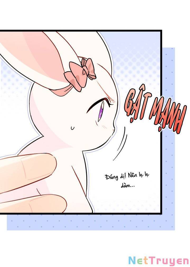 Mối Quan Hệ Cộng Sinh Giữa Báo Đen Và Thỏ Trắng - Chap 101 - Trang 20