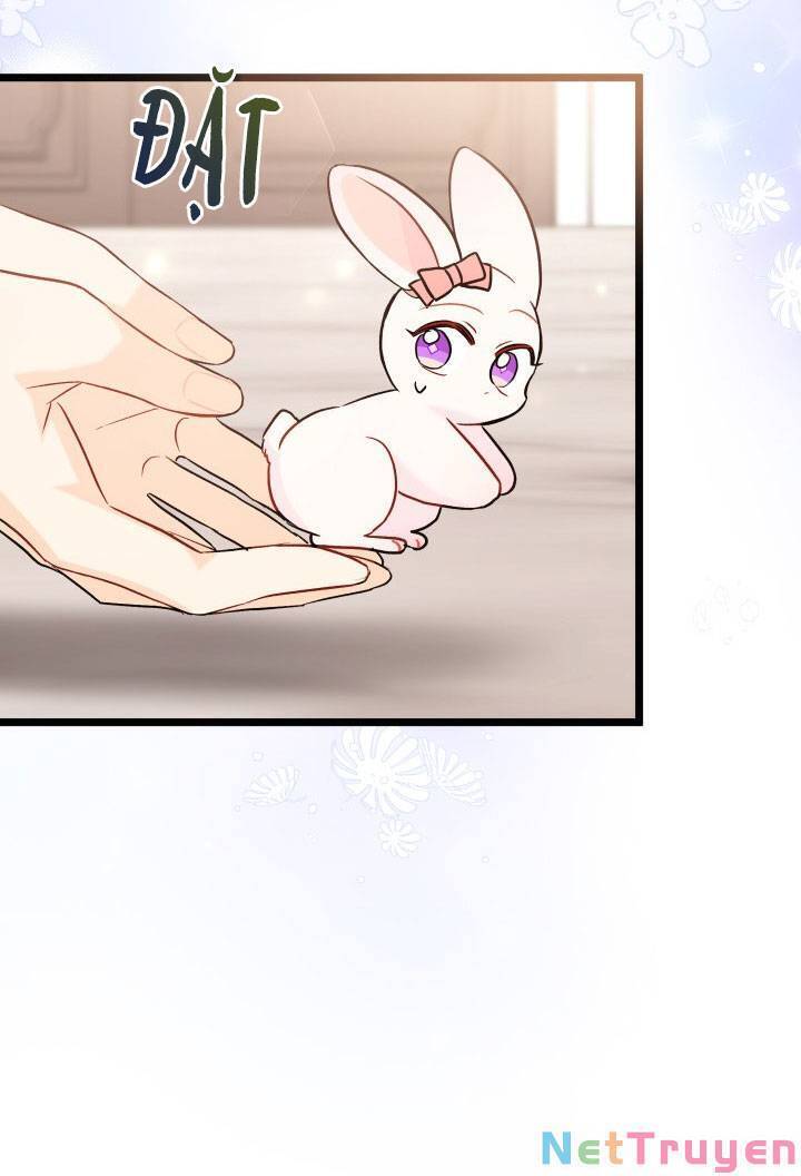 Mối Quan Hệ Cộng Sinh Giữa Báo Đen Và Thỏ Trắng - Chap 101 - Trang 30
