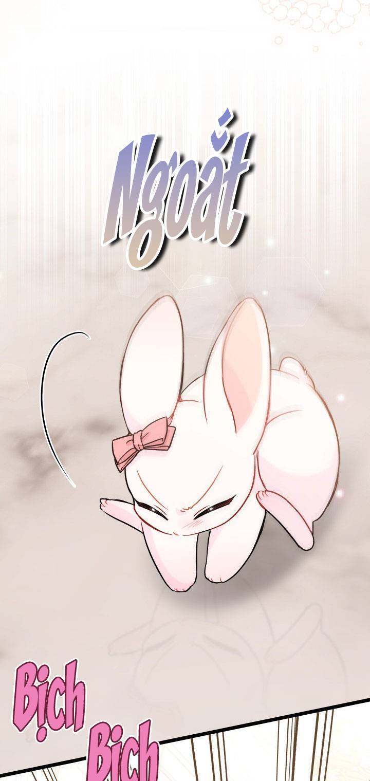 Mối Quan Hệ Cộng Sinh Giữa Báo Đen Và Thỏ Trắng - Chap 101 - Trang 33