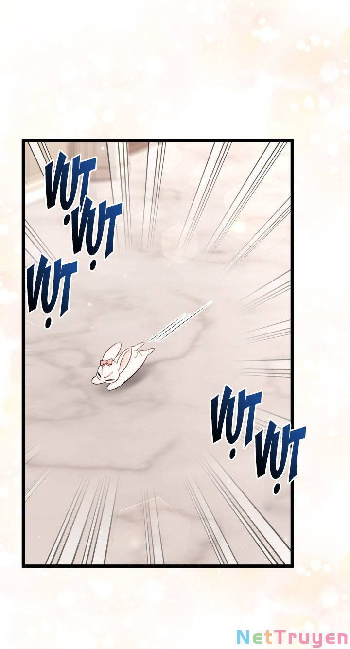 Mối Quan Hệ Cộng Sinh Giữa Báo Đen Và Thỏ Trắng - Chap 101 - Trang 37